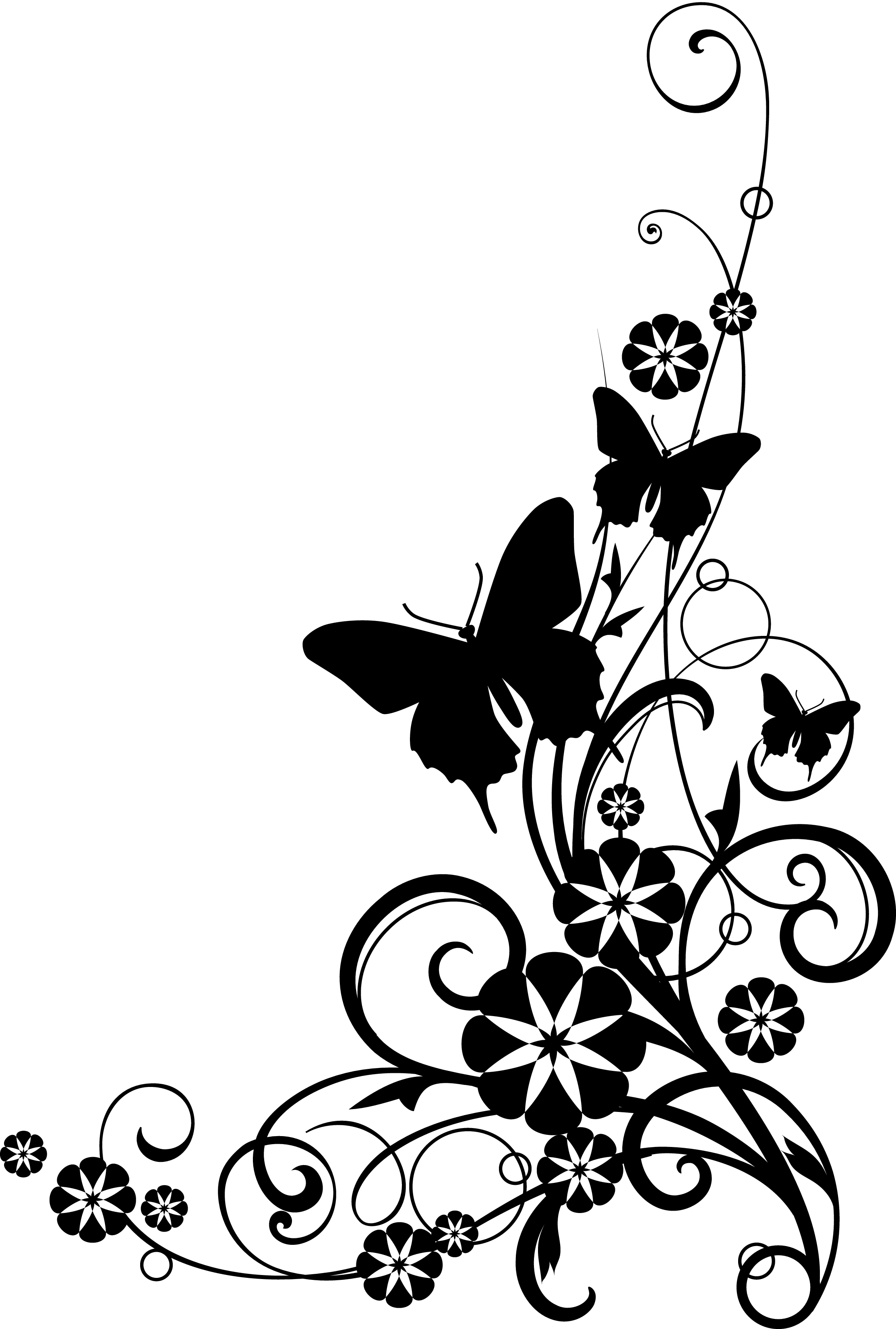 Black And White Flower Border | Free Download Clip Art | Free Clip Art