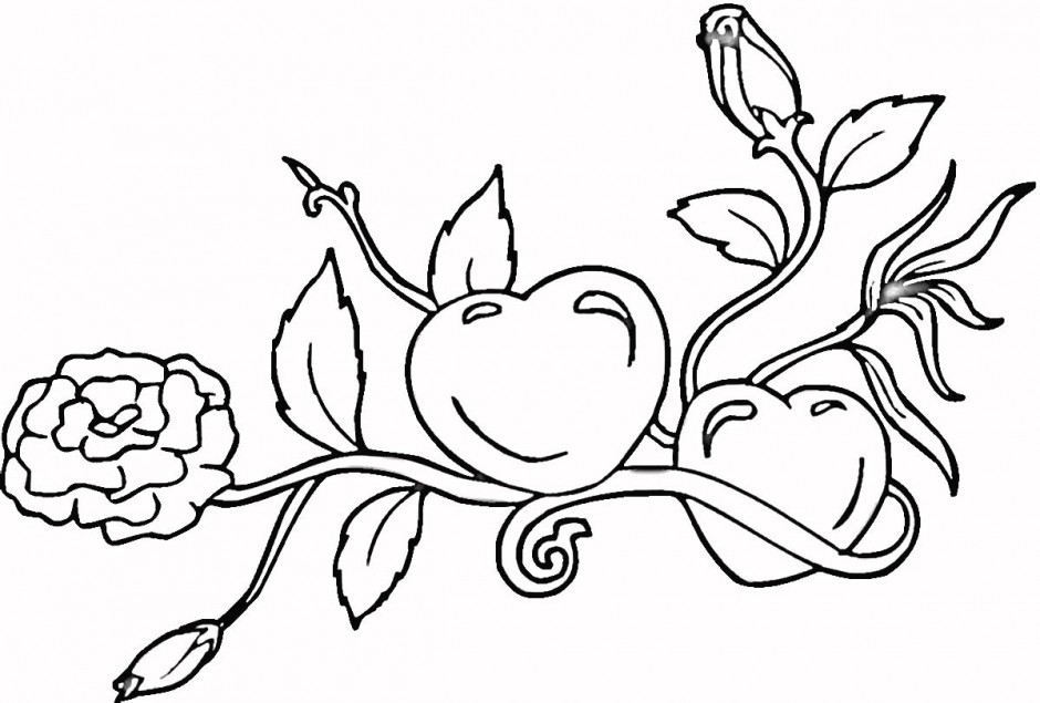 Coloring Pages Of Hearts Clipart library 112296 Heart With Wings 