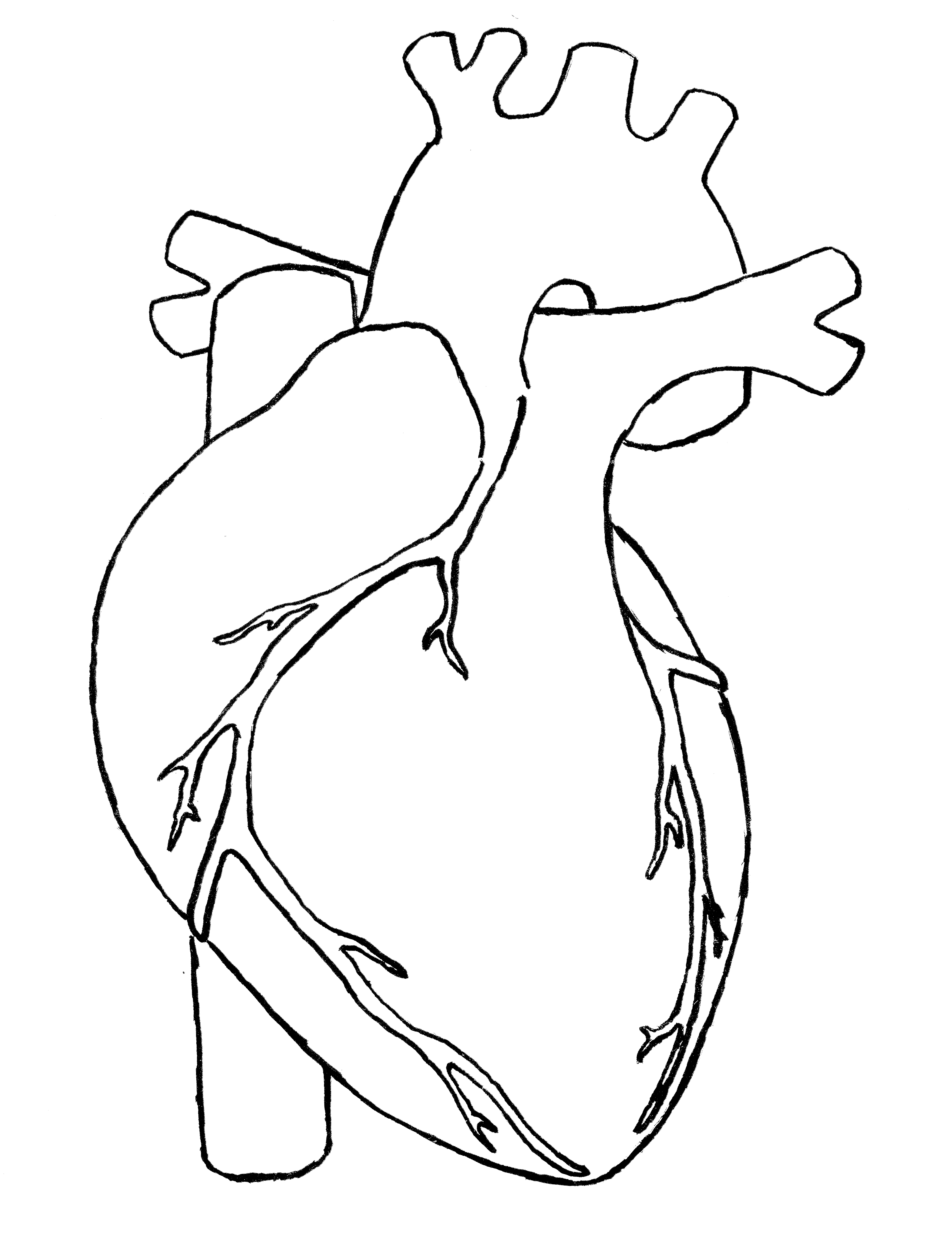 Simple Heart Drawing 