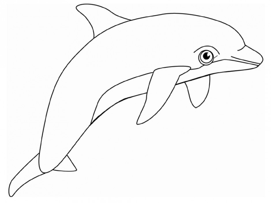 Dolphin Bottlenose Coloring Page Free Coloring Pages 212542 