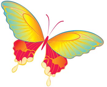 Butterfly Free Vector 