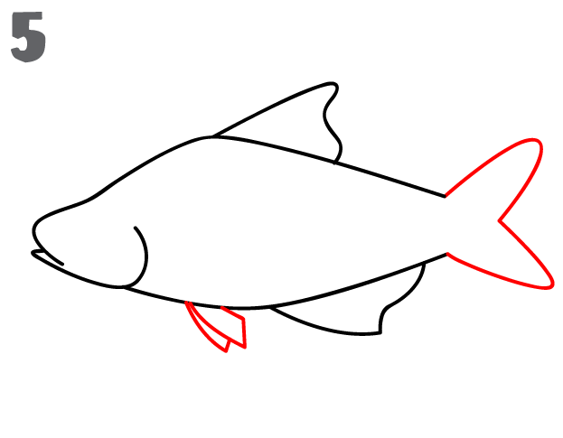 Featured image of post Fish Drawing Outline Easy And now you can teach your children to draw different types of fish with details like scales fins and tails