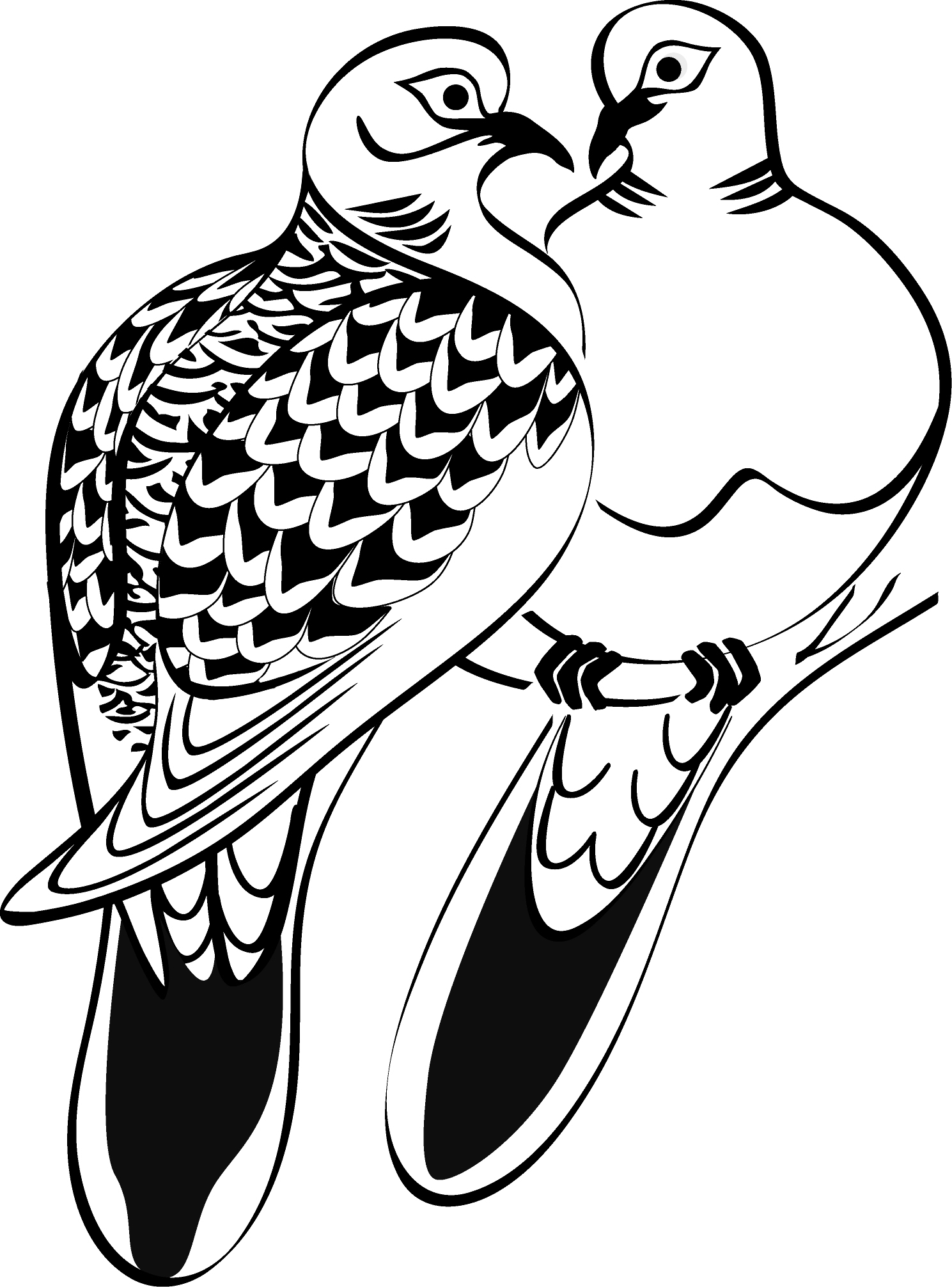 free clipart two turtle doves - photo #10