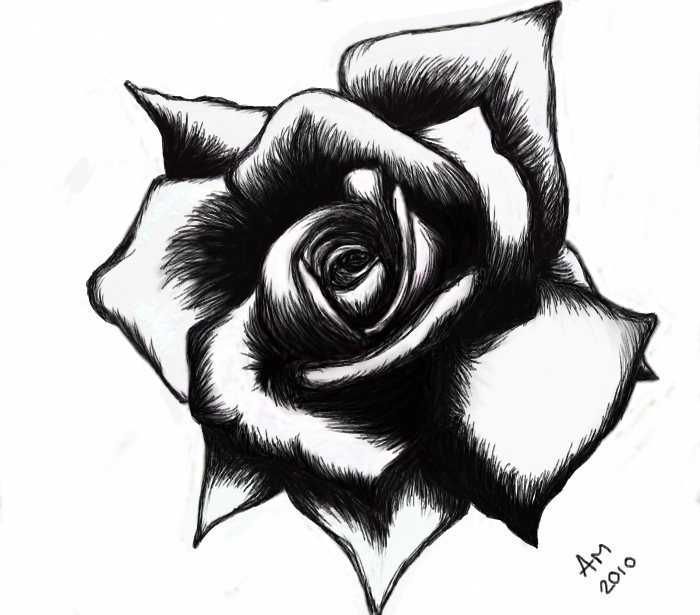 rose black and whitssa Colouring Pages