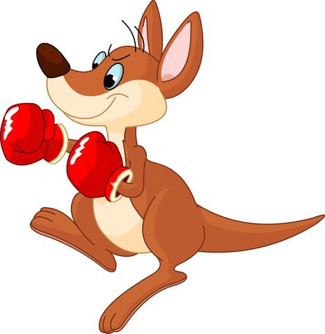 Kangaroo Cartoon 