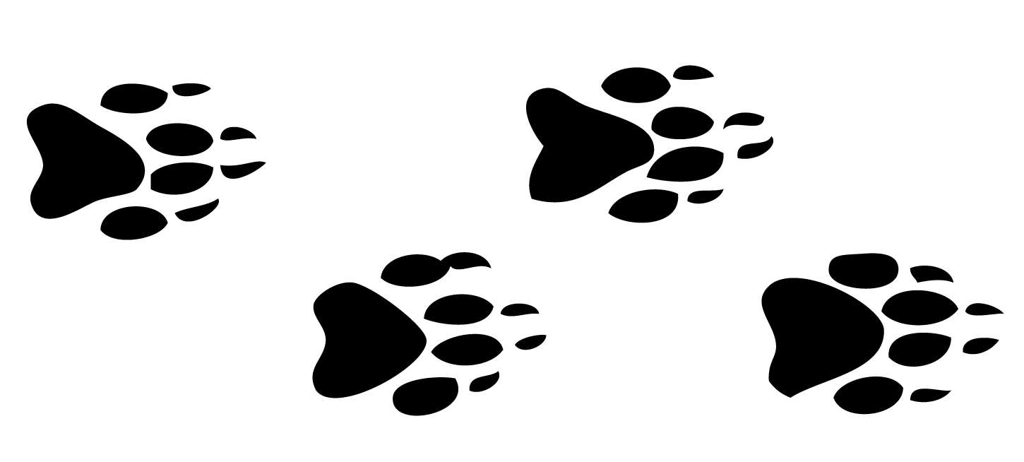 free-animal-footprints-download-free-animal-footprints-png-images