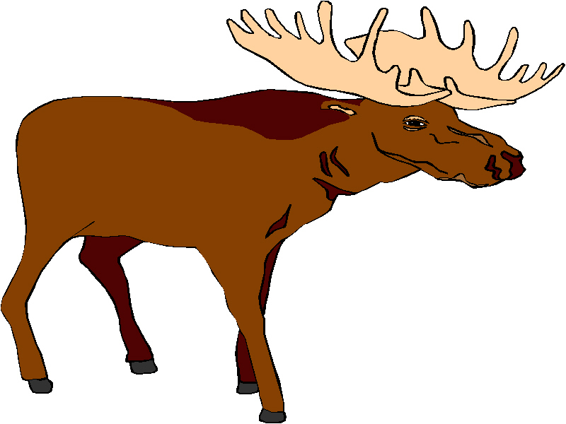 Moose Silhouette Elk Cakes Hunting Pinterest Moose Clip Art 