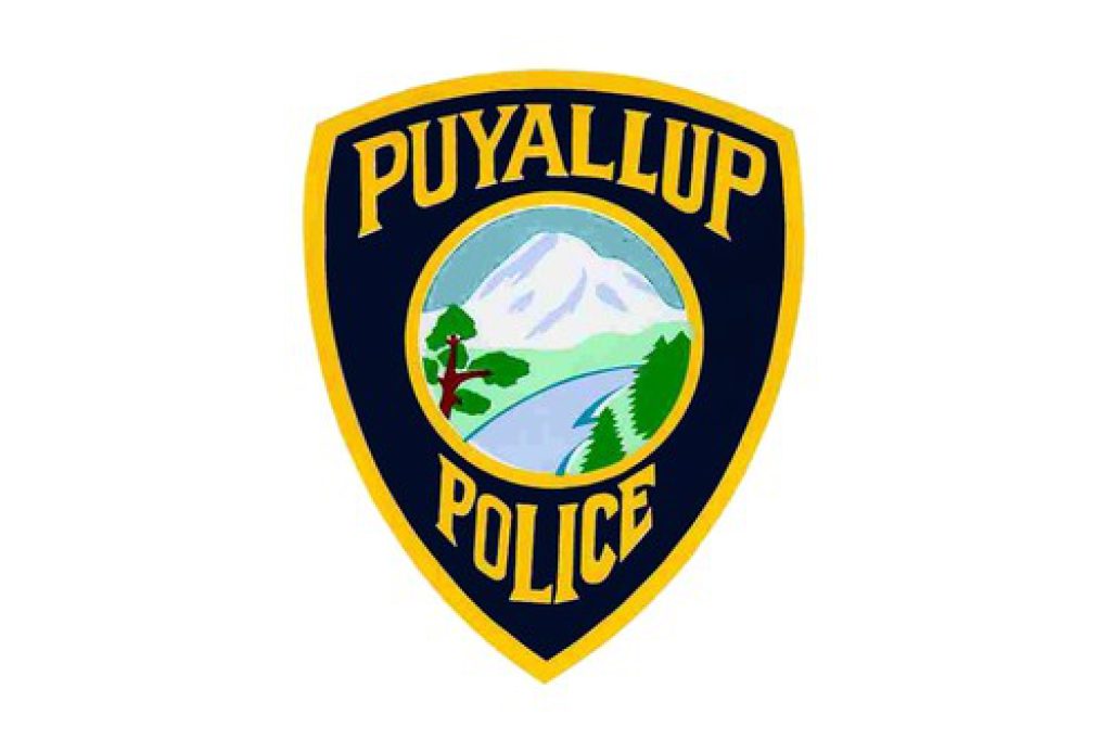 Puyallup Police Reports: Vandalized Nativity Scene, Drunk Driver 