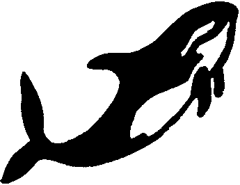 K.Whale/Dolphin for our CG images(Univ. of tokyo)