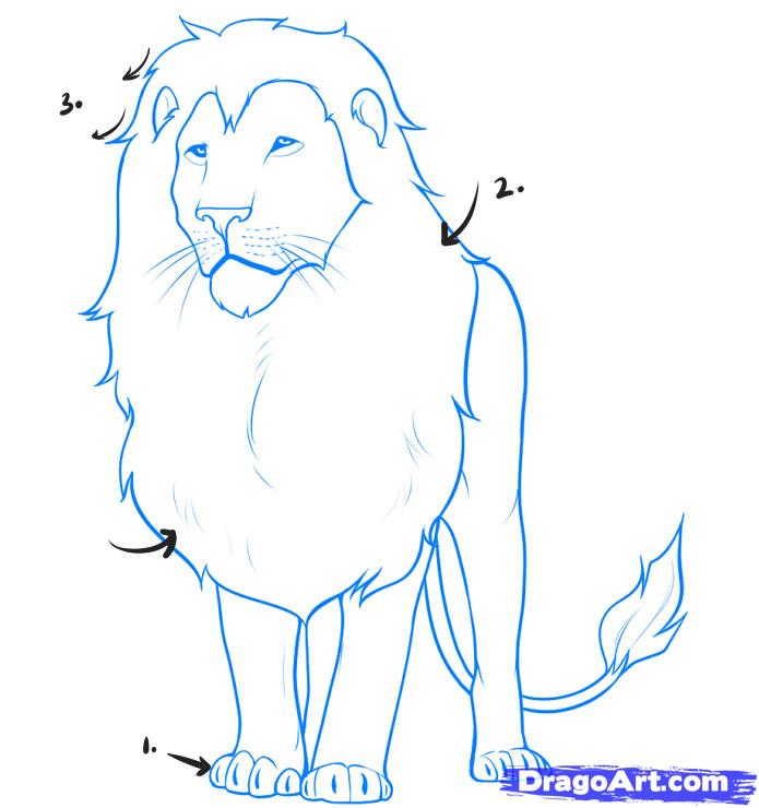 Free How To Draw A Lion Step By Step, Download Free How To Draw A Lion