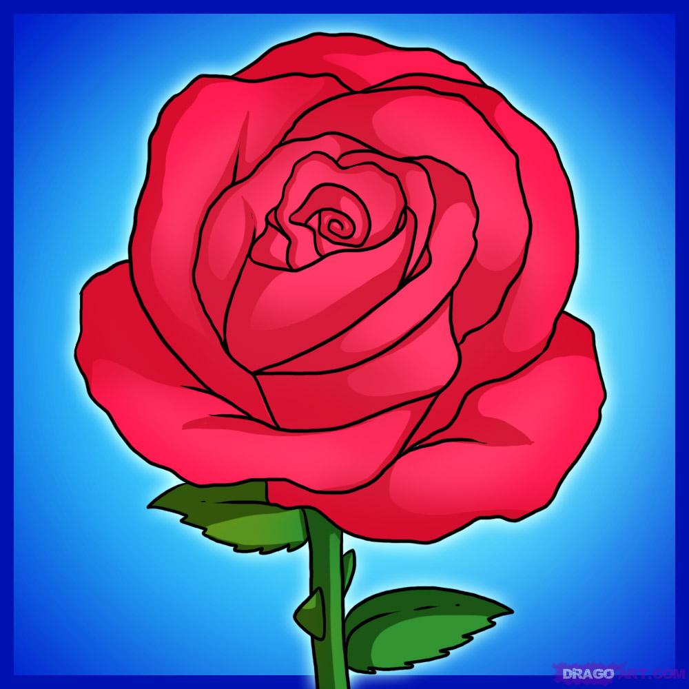 Free Rose Cartoon Drawing, Download Free Rose Cartoon Drawing png