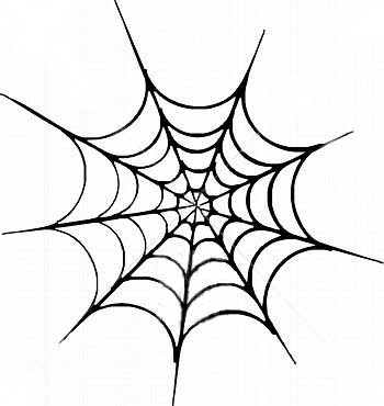 SPIDER WEB PICTURES, PICS, IMAGES AND PHOTOS FOR YOUR TATTOO 