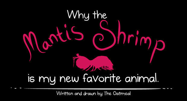 The Oatmeal turns Mantis Shrimp into comic book superhero