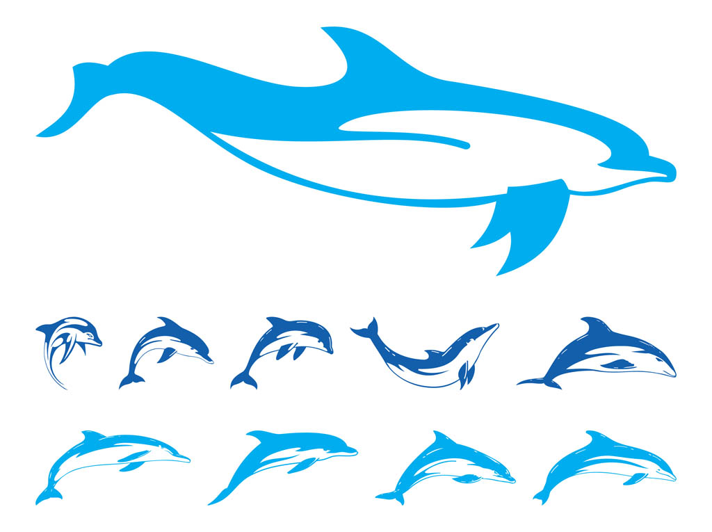 Jumping Dolphin Outline