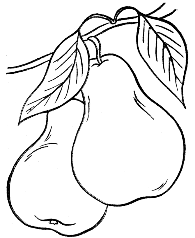 Thanksgiving Dinner Coloring Page Sheets - Pears in the tree 