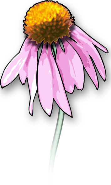 Dead Flower clip art - vector clip art online, royalty free 