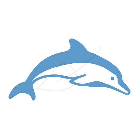 Popular items for dolphin clipart on Etsy