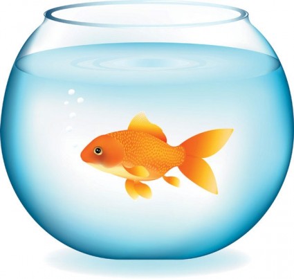 Pix For  Free Goldfish Clipart
