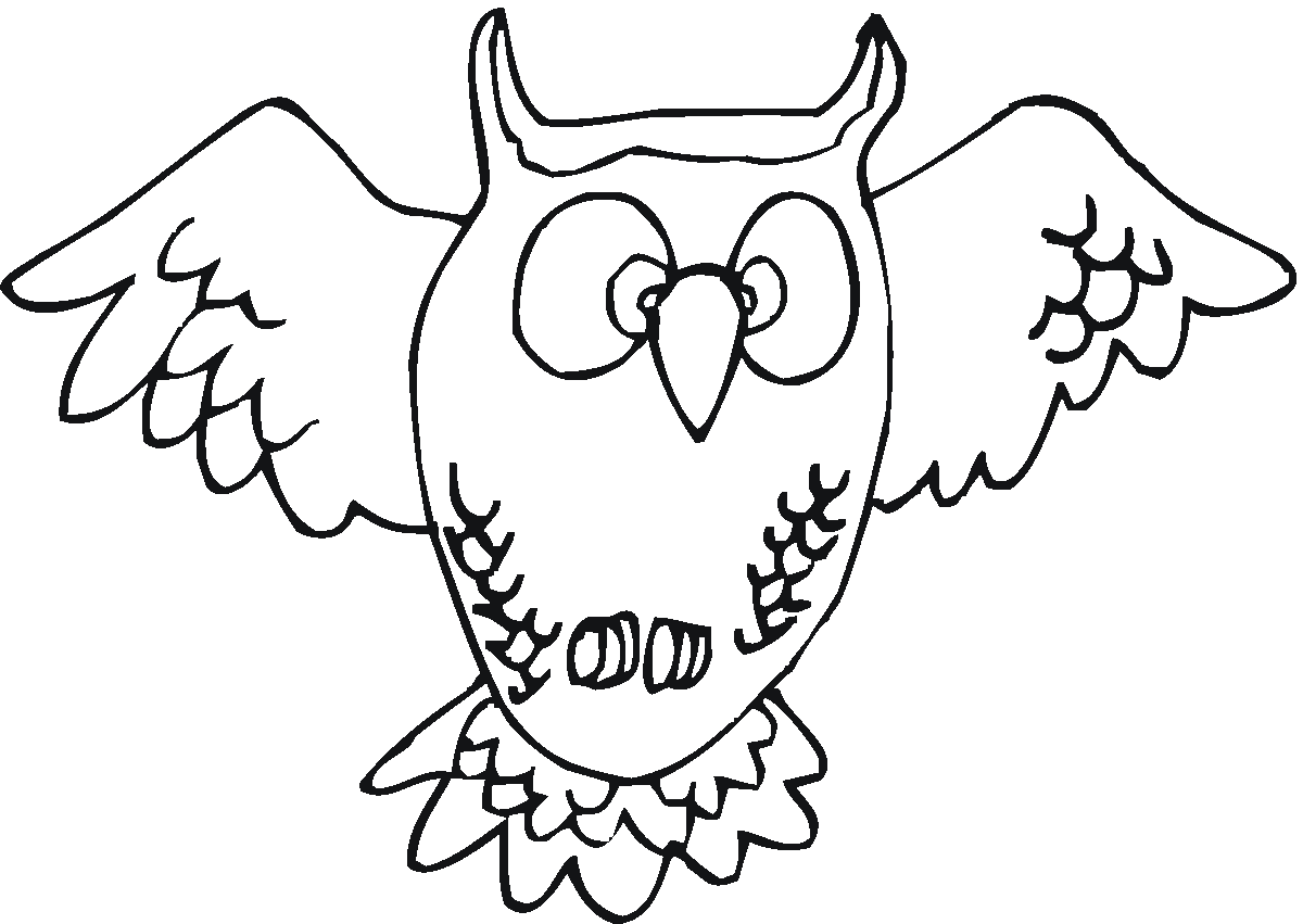 nocturnal animals colouring pages - Clip Art Library