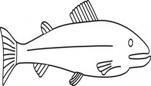 Fish Outline Clip Art | Free Vector Download - Graphics,Material 
