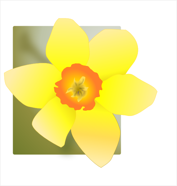 Daffodil clip art - vector clip art online, royalty free  public 