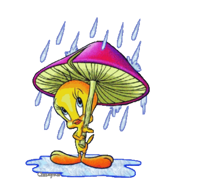 Free Rain Cartoon, Download Free Rain Cartoon png images, Free ClipArts