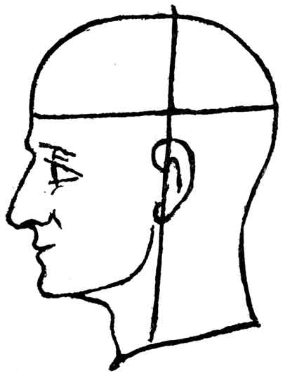 free clip art human head outline - photo #20