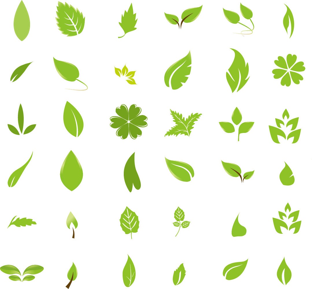 Green Leaf Design Elements | Free Vector Graphics | All Free Web 