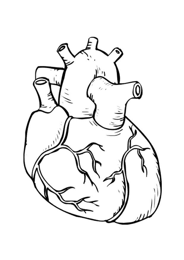 Coloring page heart - img 9486.