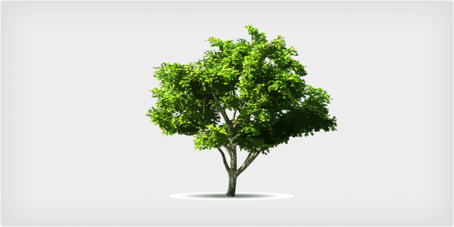 Vector Tree Collection vector graphic | creaTTor