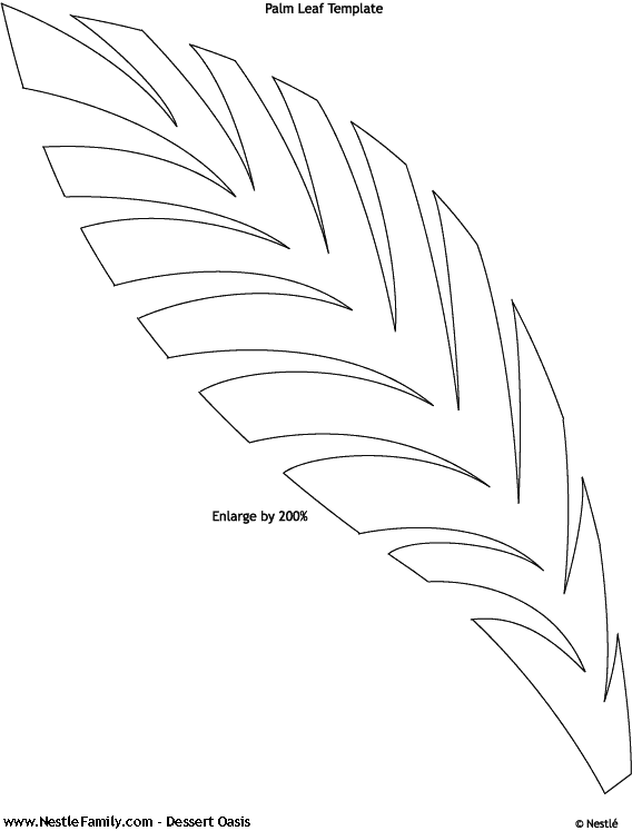 palm tree Outline | Palm tree leaves template | Ideas | Clipart library
