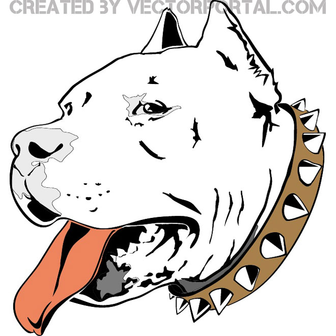 Pitbull Head Free Vector | 123Freevectors