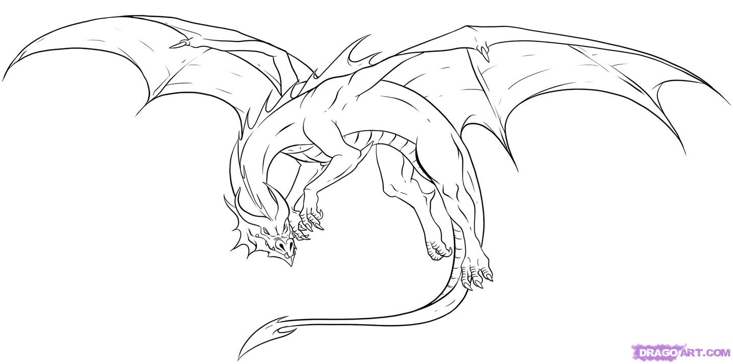 Cool Dragon Drawings Full Body / Full Body Dragon Drawing Easy Step By