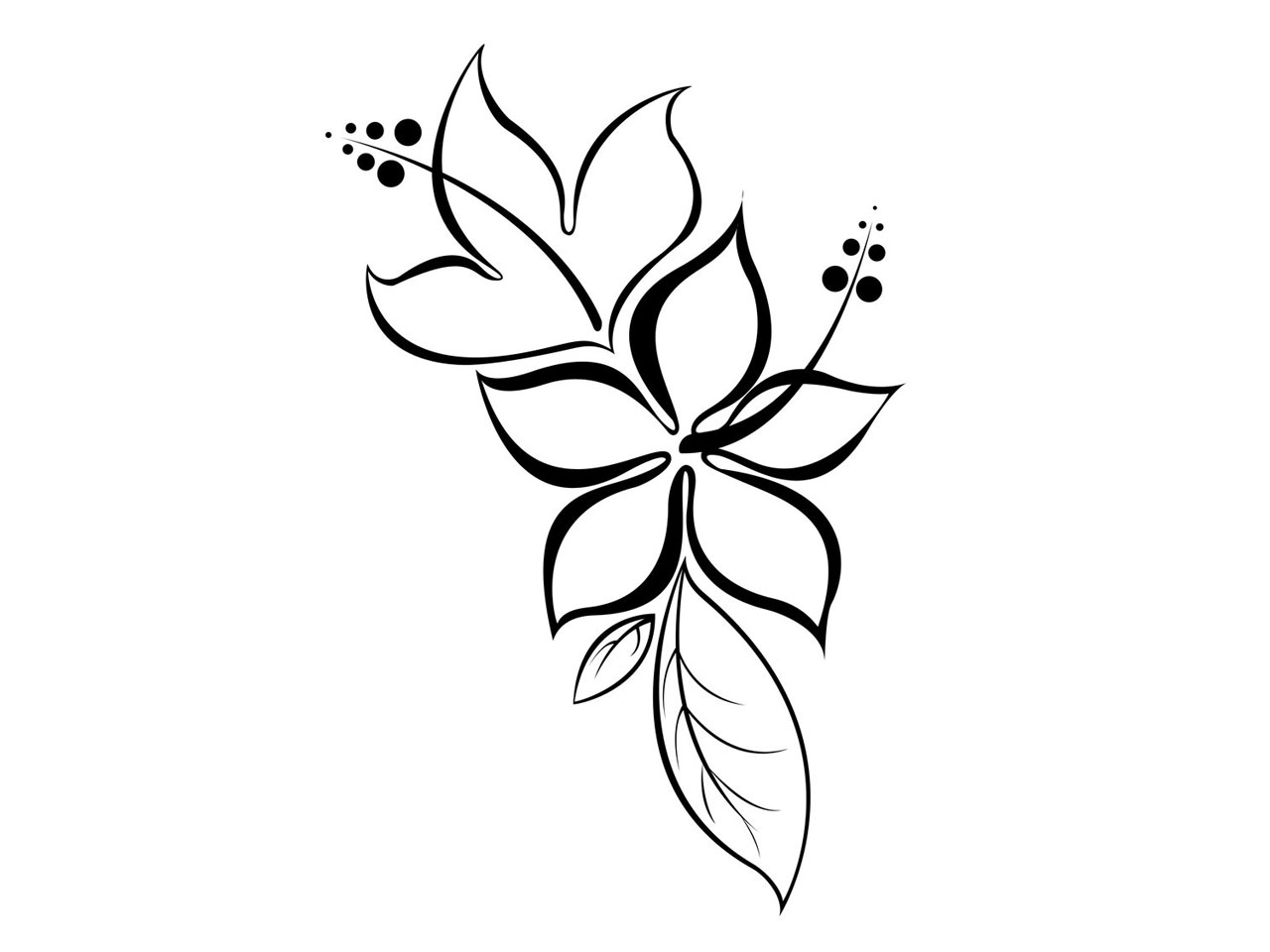 Beautiful Simple Flower Drawing Clip Art Library