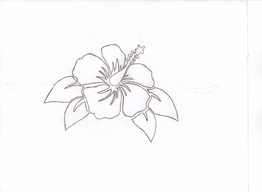 Hawaiian Flower by SwagGirl11 on Clipart library