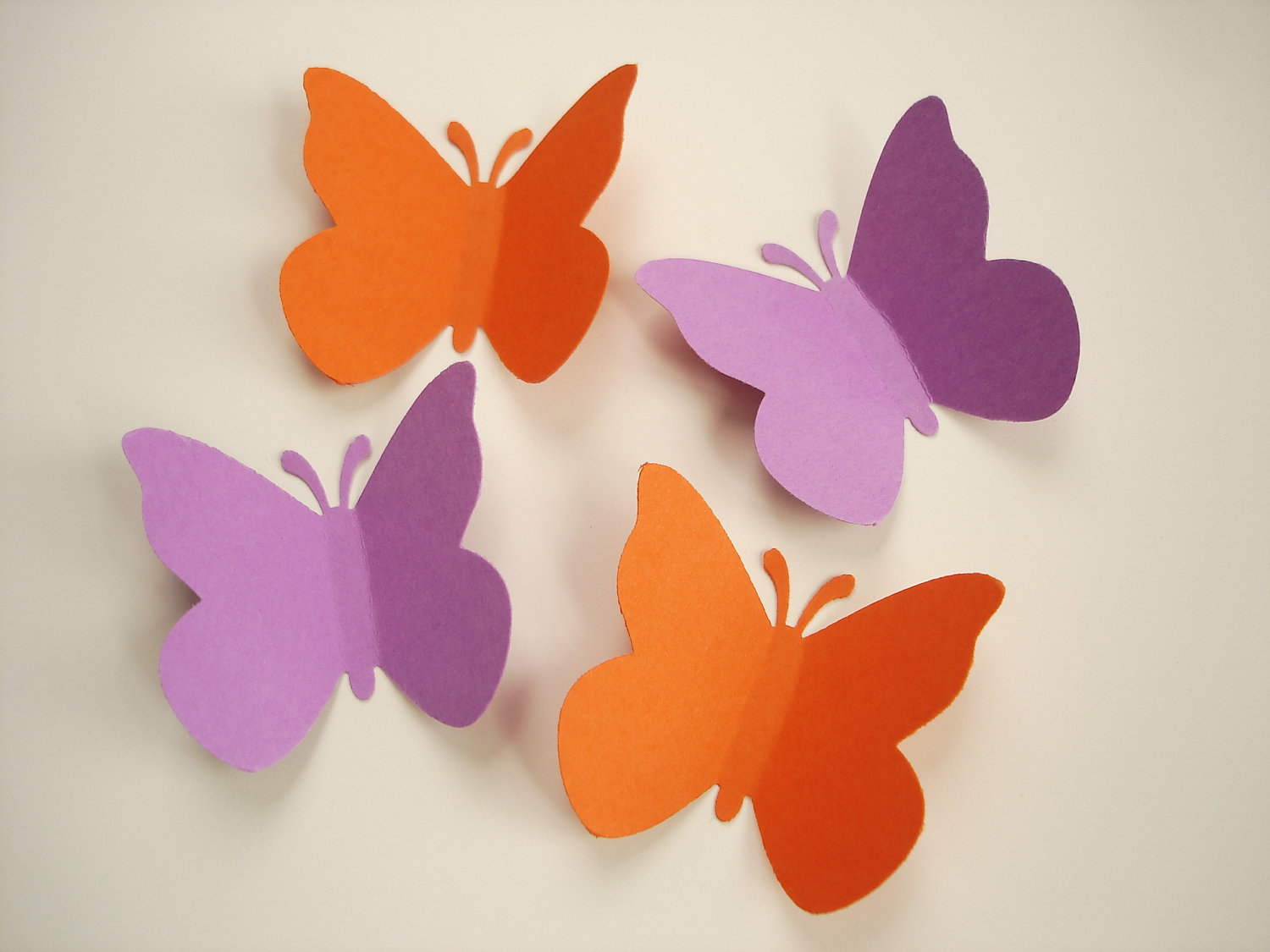 draw-and-cut-out-a-butterfly-clip-art-library