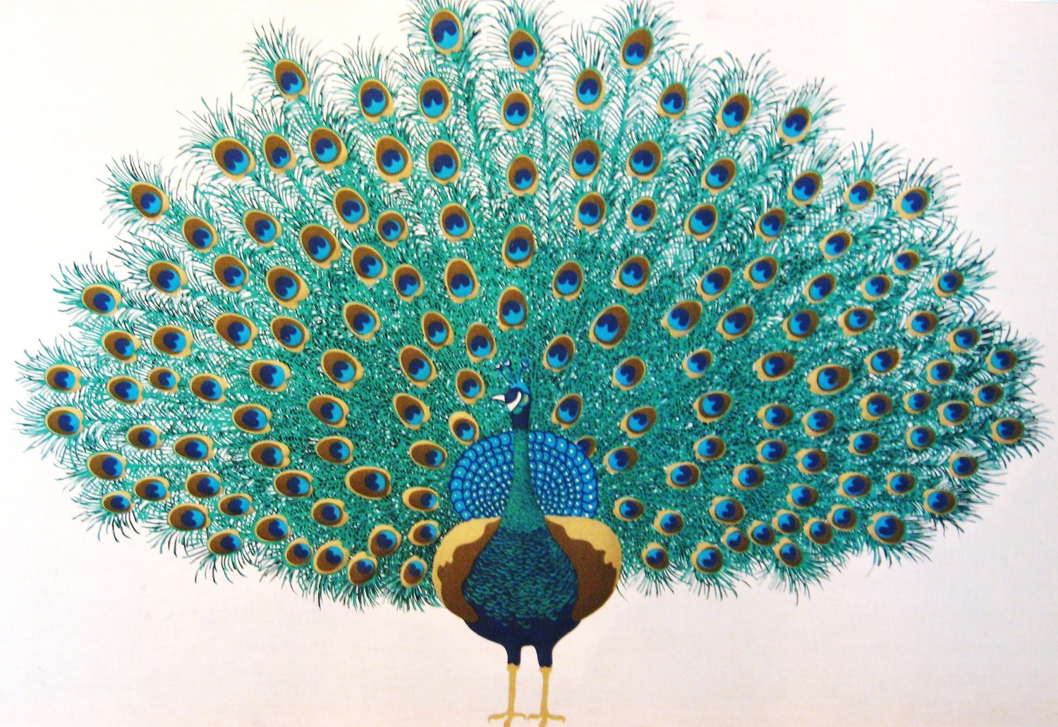 Free Peacock Images Art, Download Free Peacock Images Art png images