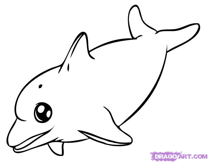 How to Draw a Dolphin, Step by Step, Sea animals, Animals, FREE 