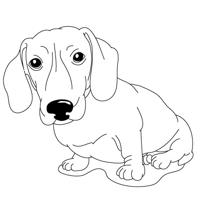 How to Draw a Dog | Fun Drawing Lessons for Kids  Adults