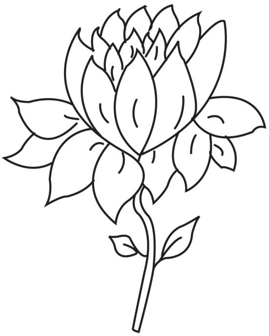 lotus flower outline clip art free - photo #22