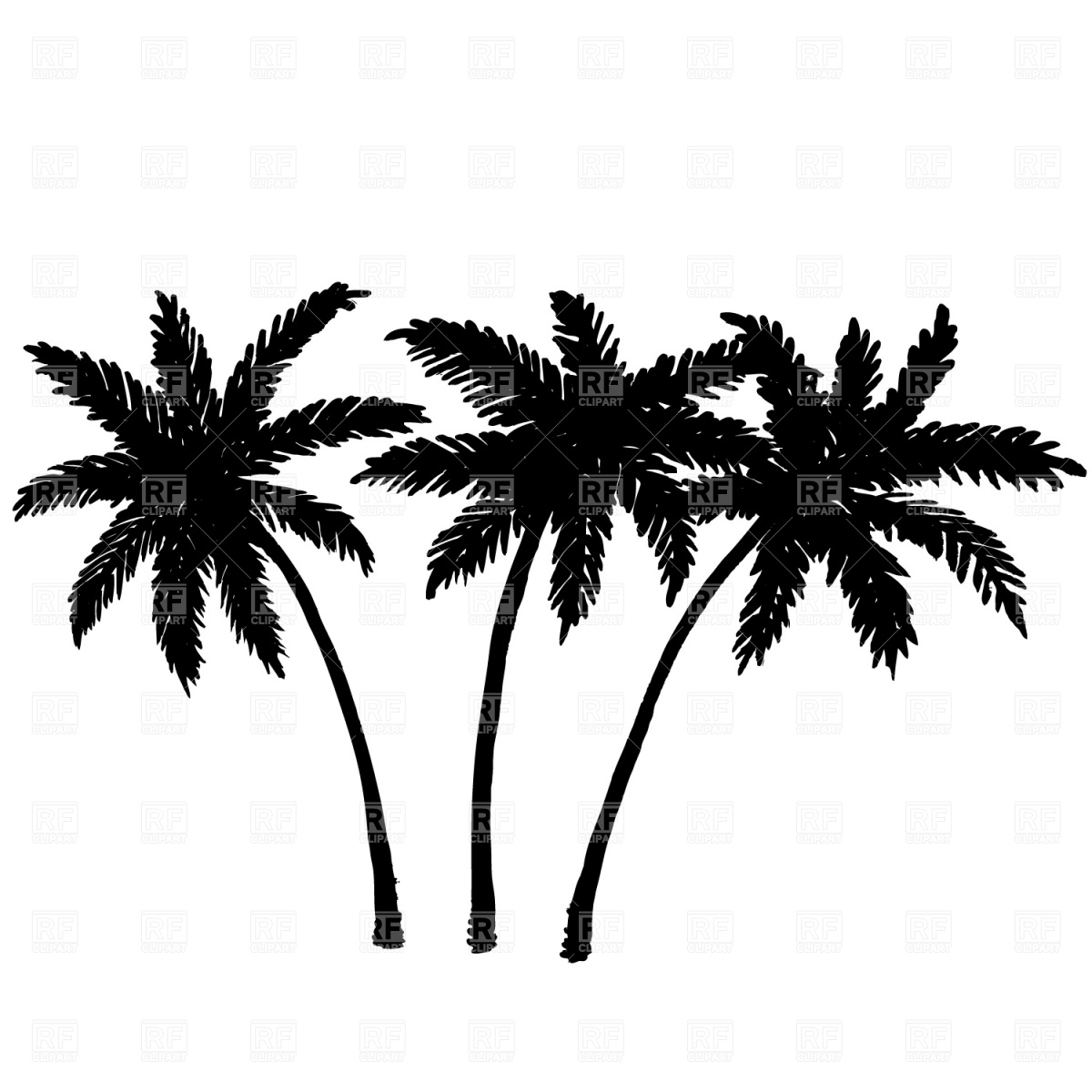 Two palm trees and cloudless sky, 503, Travel, download free 