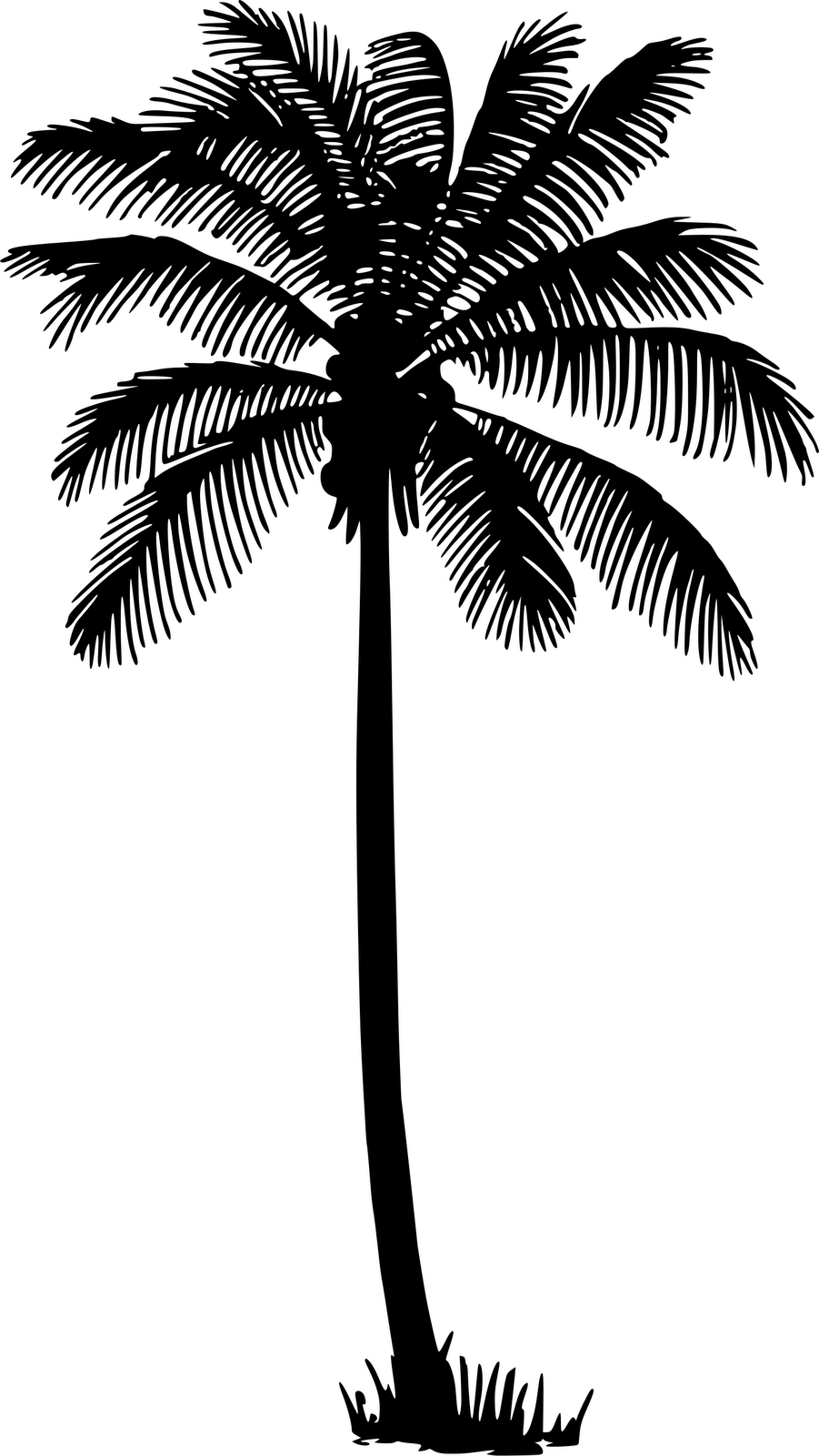 Palm trees Black & White - M Silhouette Leaf - png download - 699*655 -...