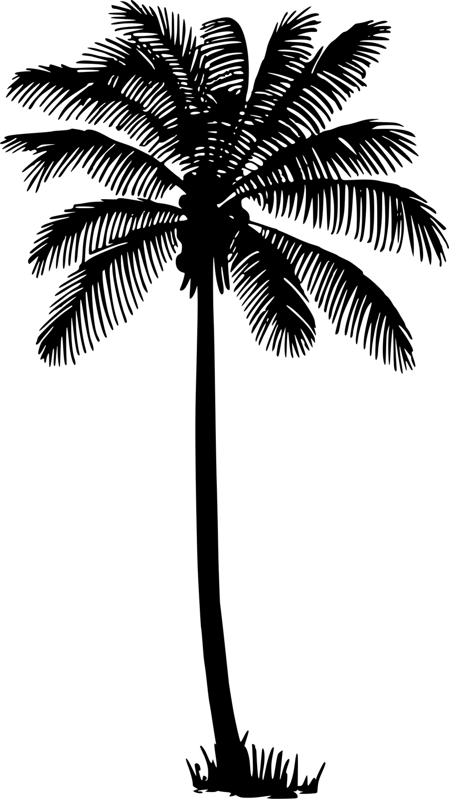 Free Palm Tree Vector Silhouette, Download Free Palm Tree Vector