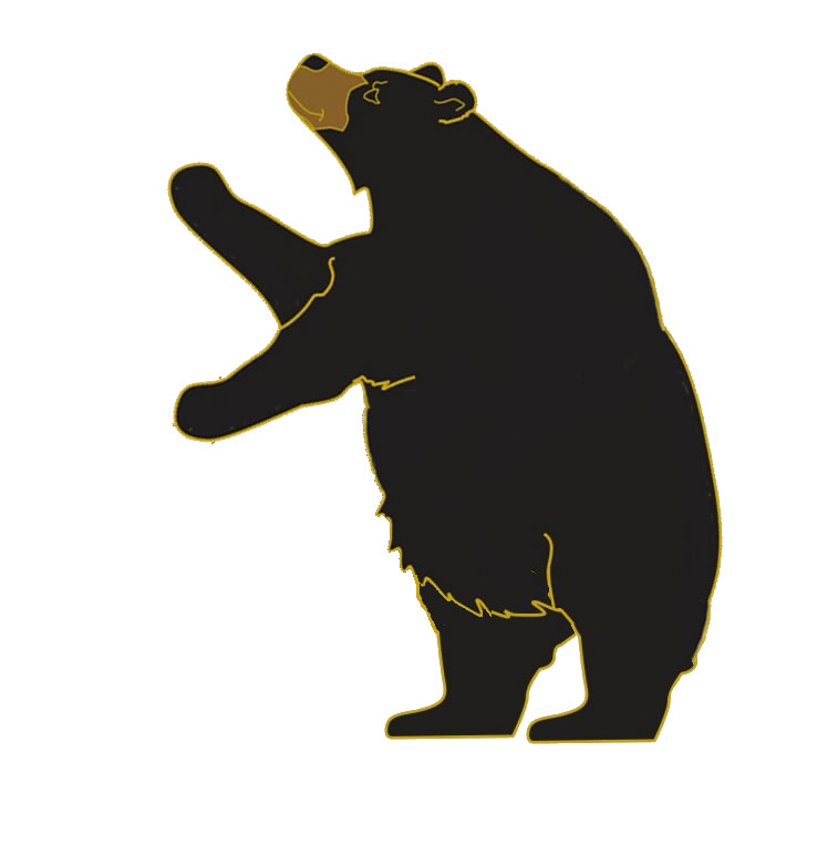 Download | Black bear cartoon standing