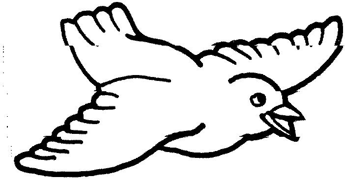 Bird Outline Drawing - Clipart library