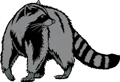 Mascots - Raccoons Clip Art