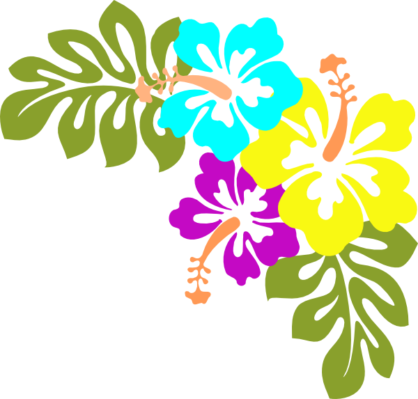 Picture Of Hawaii State Flower - Clipart library