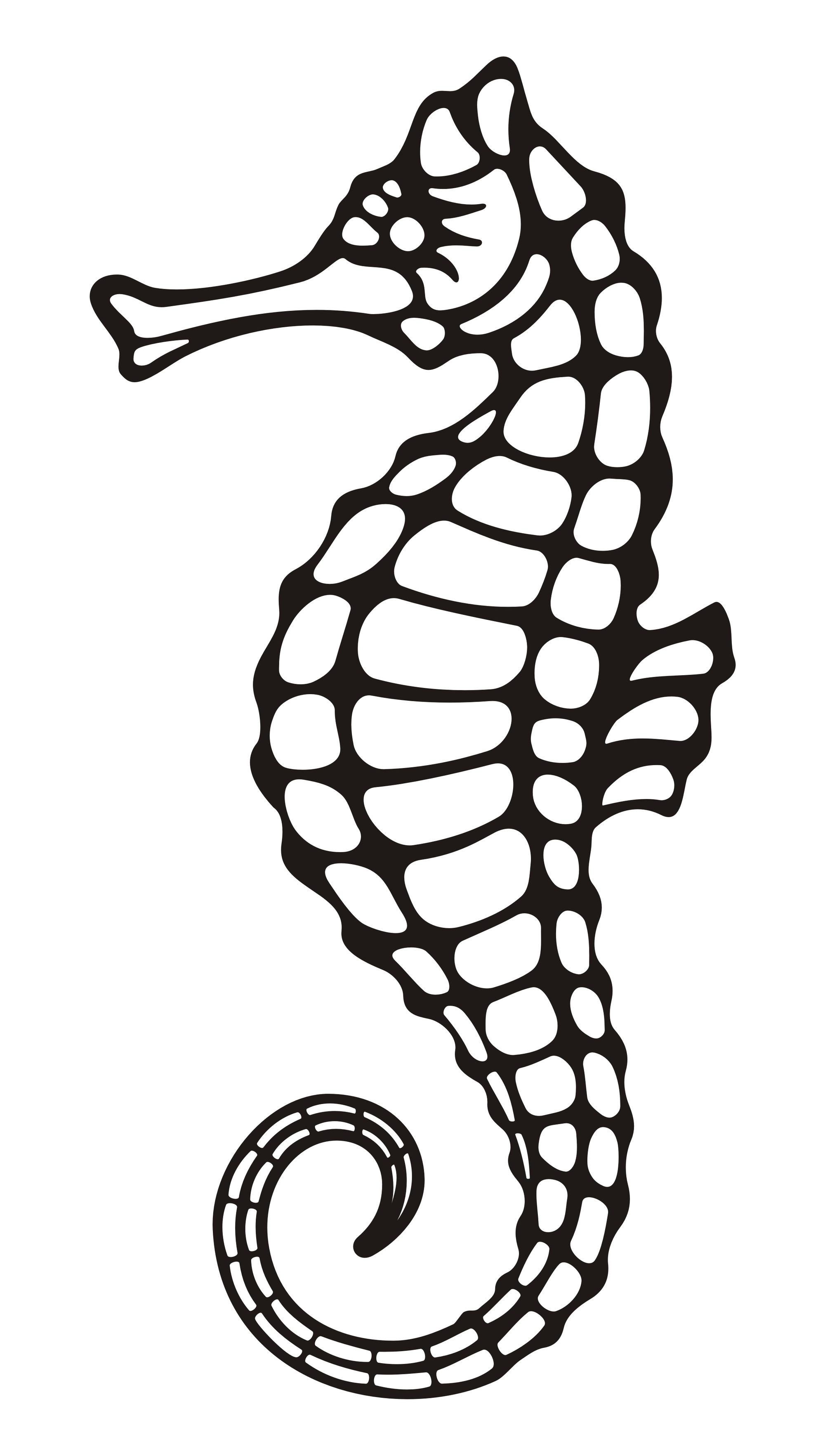 How Did the Seahorse Get its Shape? | PsiVid, Scientific American 