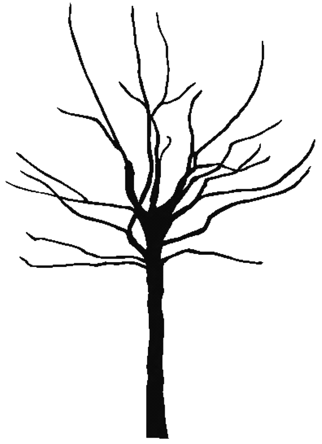 Fall Tree Outline - Clipart library