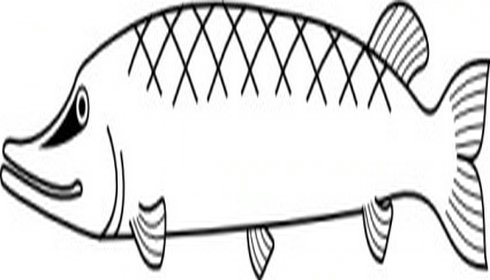 Fish Outline Template - Clipart library